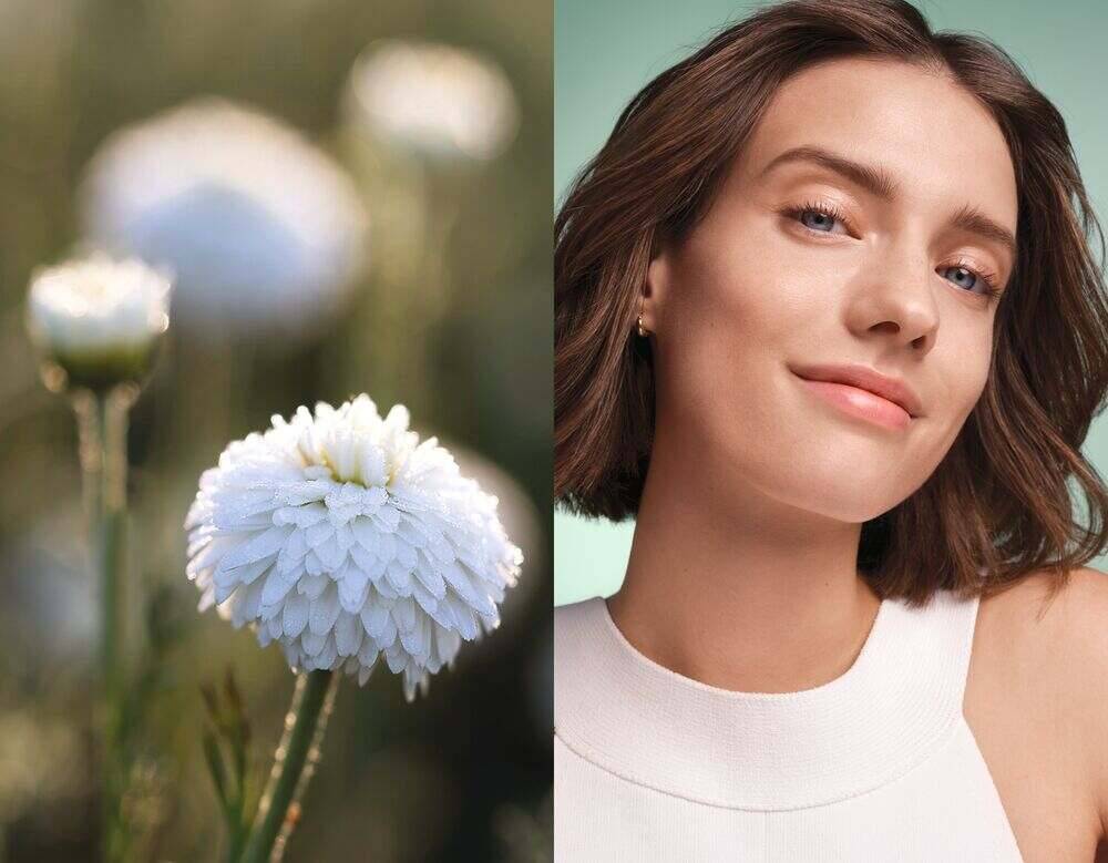 Een bloem en een vrouw