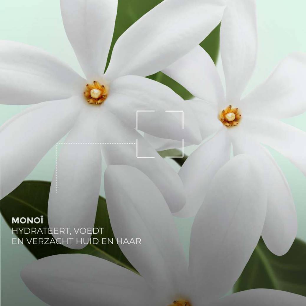 Body & Douche Set – Monoï