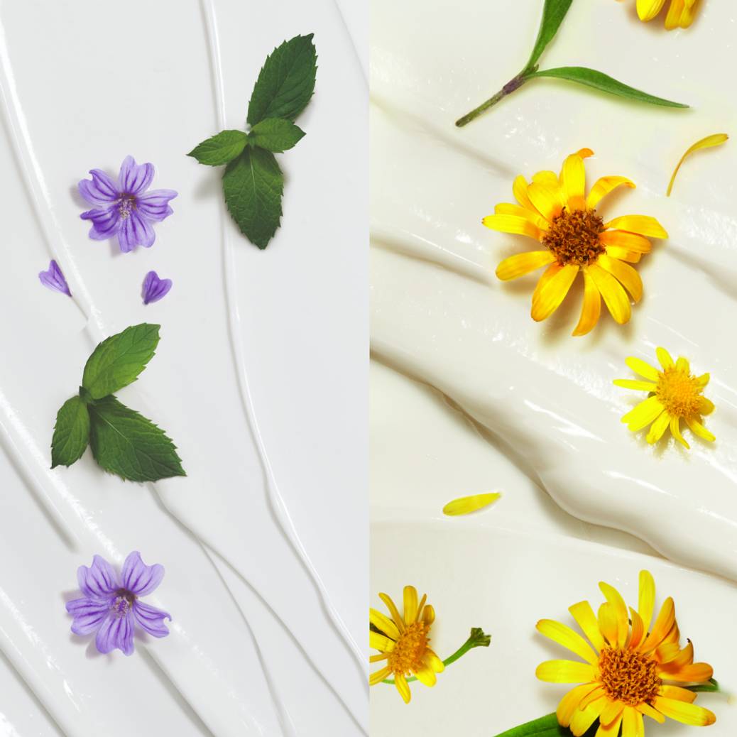 Duo Hand- & Voetcrème