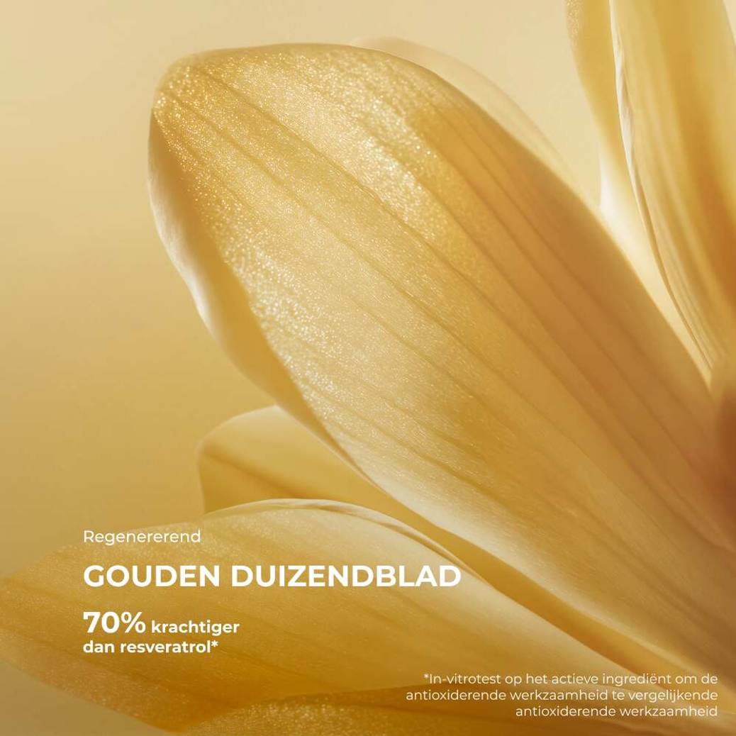 Herstellend Bi-Phase Nachtserum