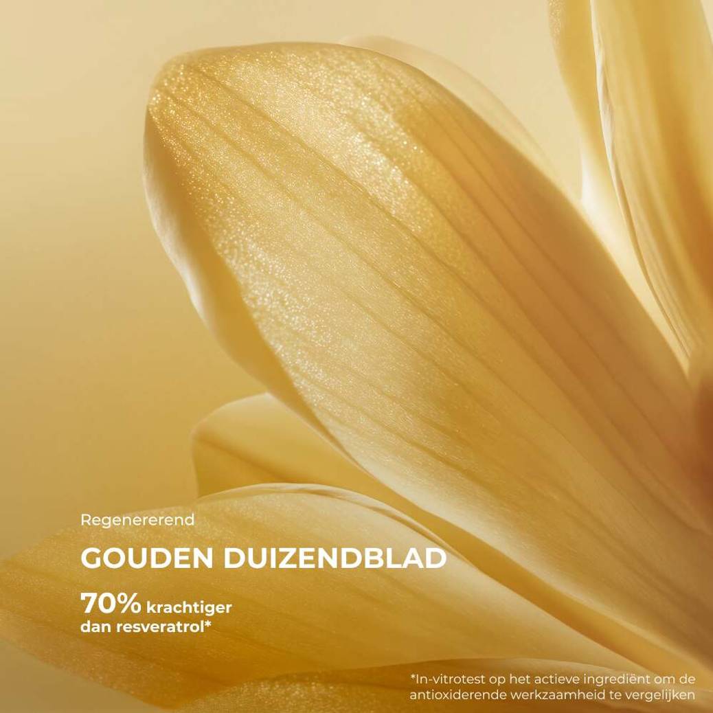 De Ultieme Herstellende Verzorging - Dag en Nacht